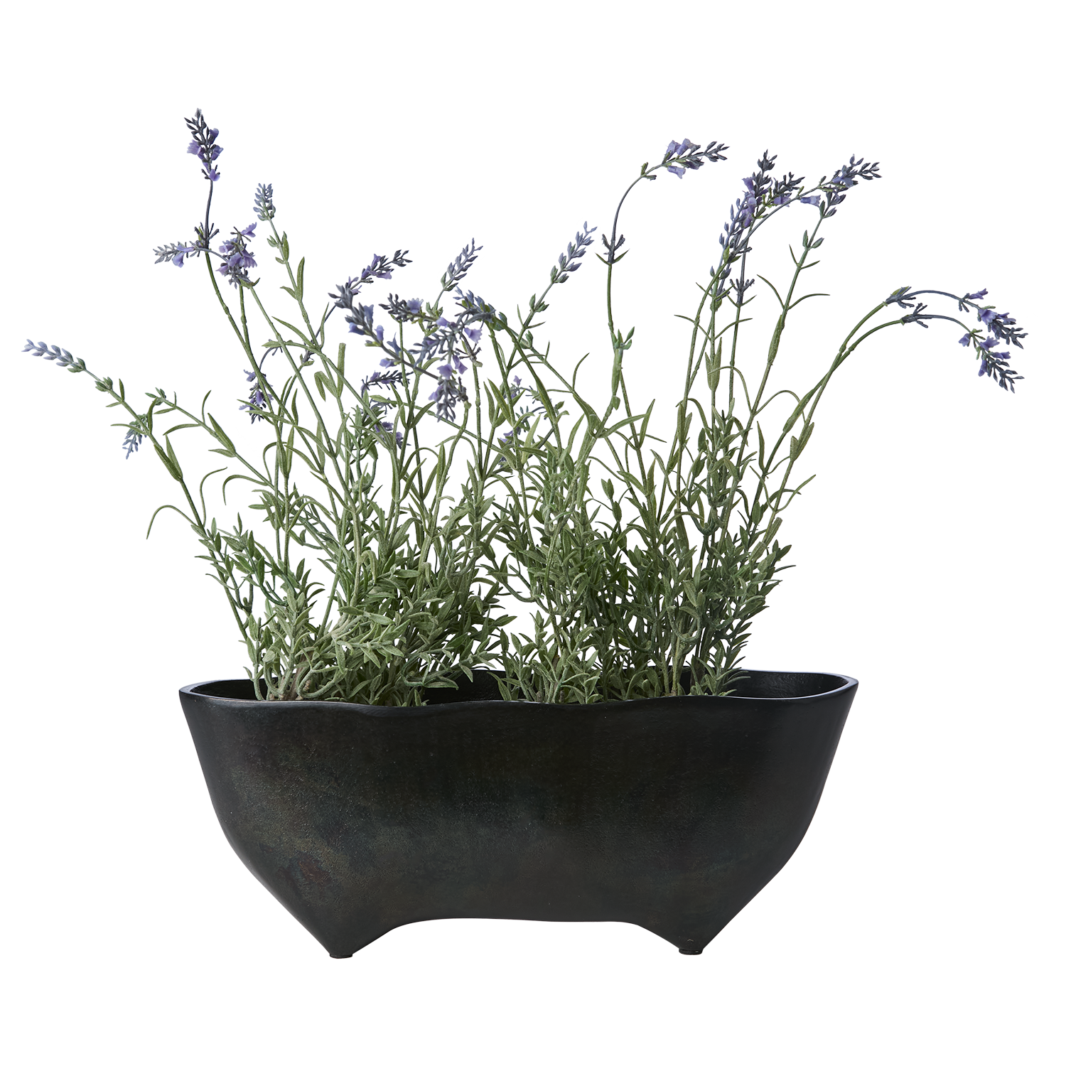 RUBEN Kruka, Mörkbrun