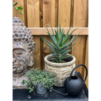 Buddha grå/brun/rustik