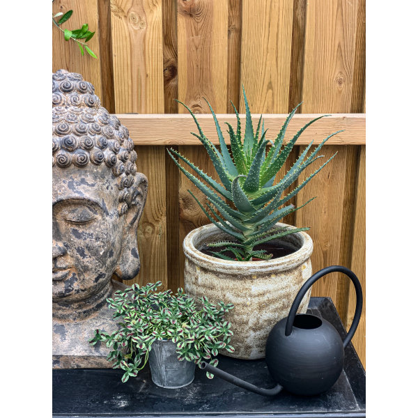 Buddha grå/brun/rustik