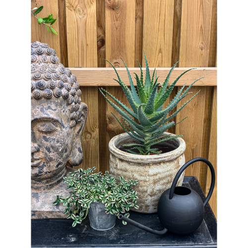 Buddha grå/brun/rustik