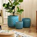 3-Pack Keramikkrukor Blå Geometrisk Ø38/30/23 cm – Orkidé & Inomhus