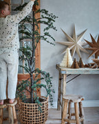 PALLE Pall, Natur 2st