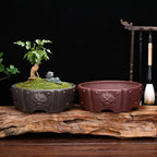 Lila Sandkruka Bonsai & Suckulenter – Andningsbar Djurhuvudnit Dekor