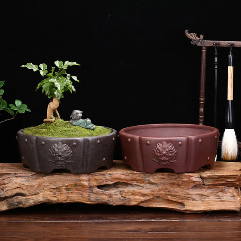 Lila Sandkruka Bonsai & Suckulenter – Andningsbar Djurhuvudnit Dekor