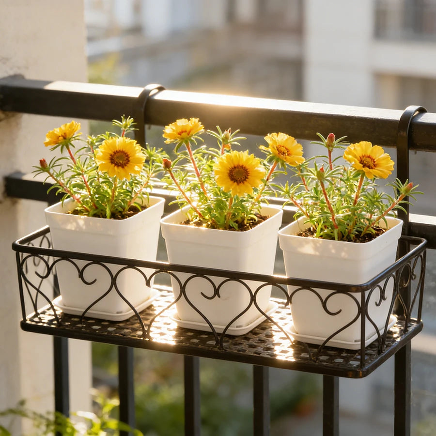 10-Pack Vita Plastblomkrukor 7 cm med Brickor – Sukkulenter & Kontorsodling