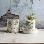 Cementkruka Nordisk Stil – Snäcka, Mossa & Stendekor Trädgård