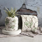 Cementkruka Nordisk Stil – Snäcka, Mossa & Stendekor Trädgård