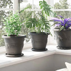 Runda Blomkrukor 6-Pack Svart Ø22×18 cm – Plastpotta Trädgård & Uteplats