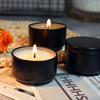 4-Pack Citronella Myggavvisande Aromljus – Portabelt Reseplåt Utomhus