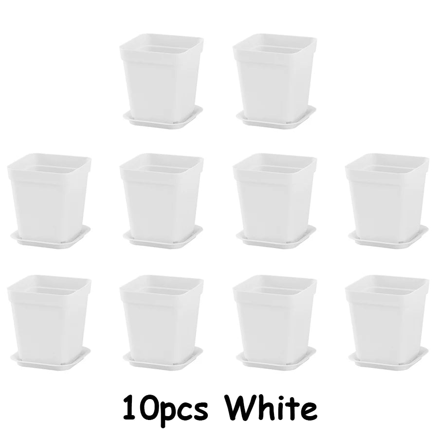 10-Pack Vita Plastblomkrukor 7 cm med Brickor – Sukkulenter & Kontorsodling