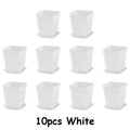 10-Pack Vita Plastblomkrukor 7 cm med Brickor – Sukkulenter & Kontorsodling