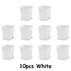 10-Pack Vita Plastblomkrukor 7 cm med Brickor – Sukkulenter & Kontorsodling