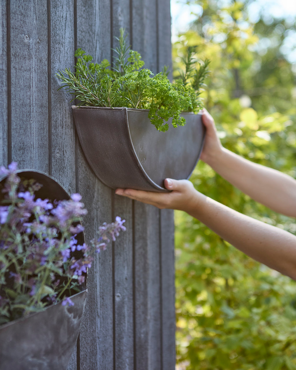 OLIVER Väggkruka, Mörkgrå 2st