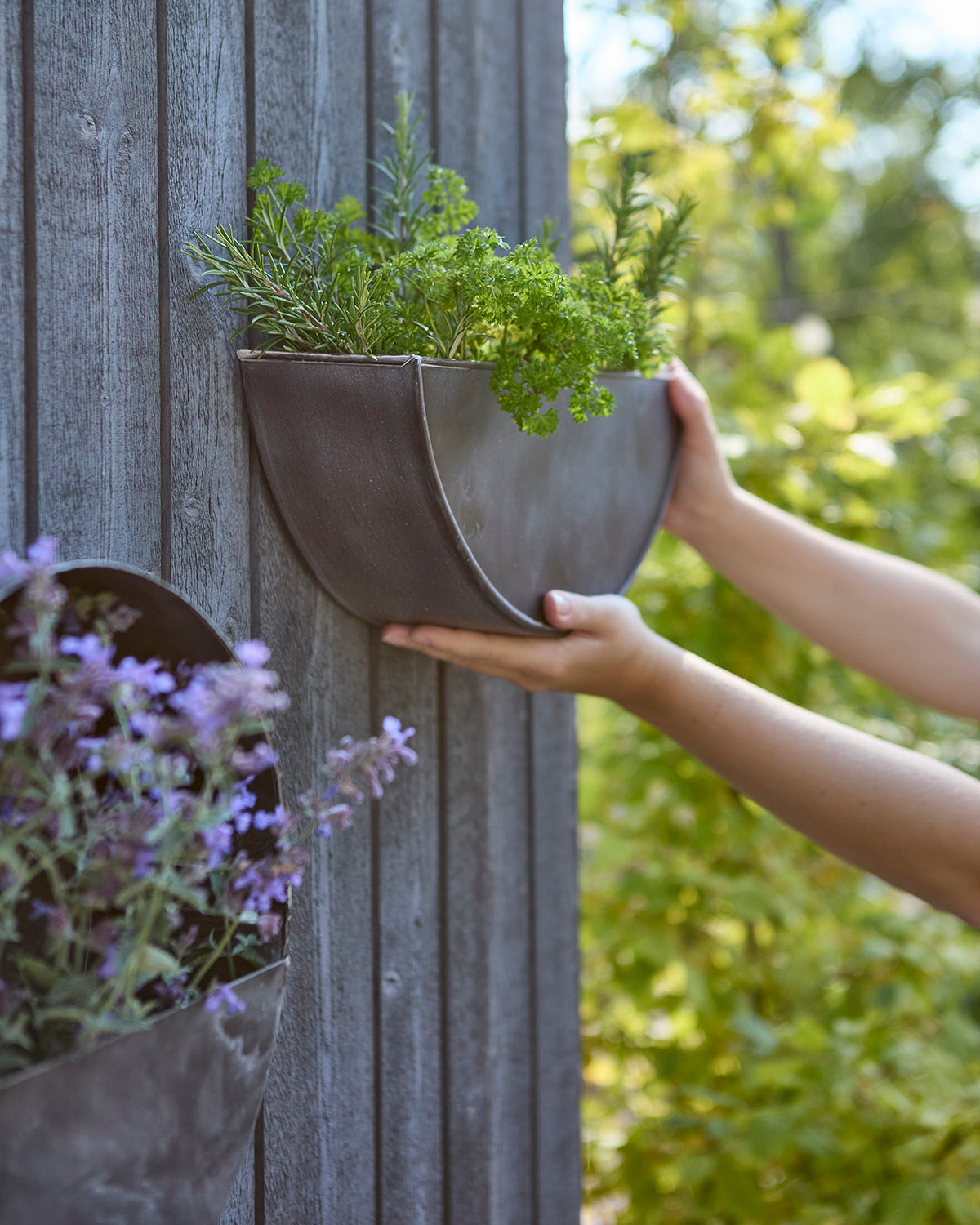 OLIVER Väggkruka, Mörkgrå 2st