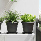 Runda Blomkrukor 6-Pack Svart Ø22×18 cm – Plastpotta Trädgård & Uteplats
