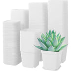 10-Pack Vita Plastblomkrukor 7 cm med Brickor – Sukkulenter & Kontorsodling