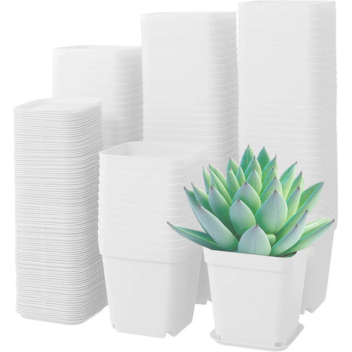 10-Pack Vita Plastblomkrukor 7 cm med Brickor – Sukkulenter & Kontorsodling