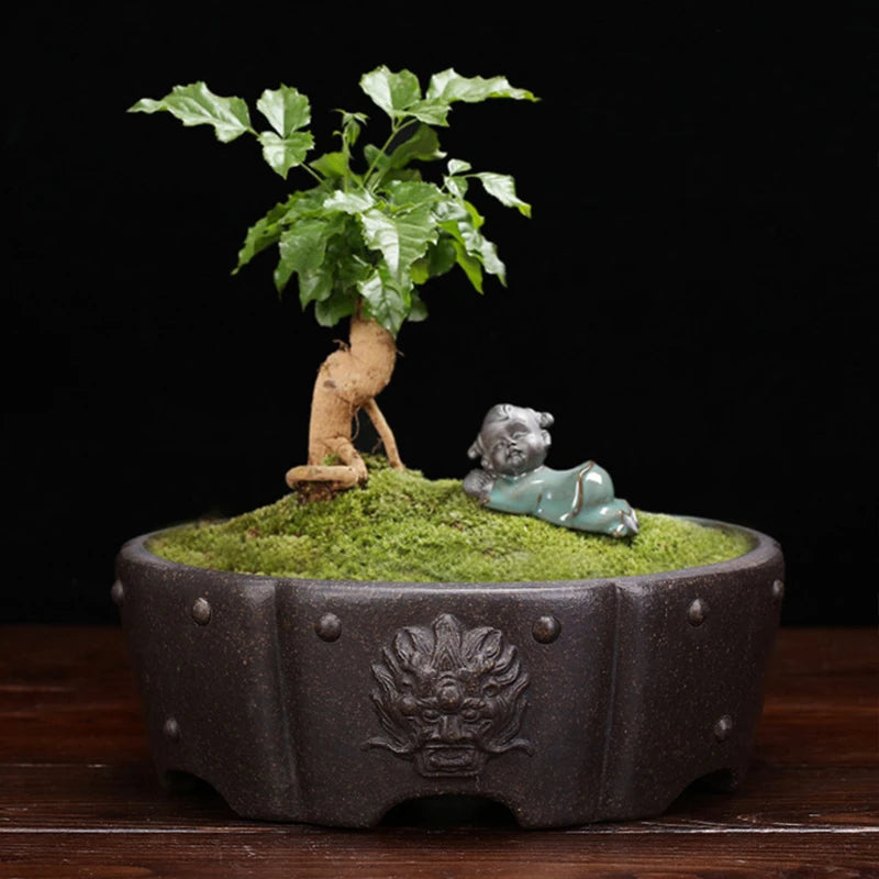 Lila Sandkruka Bonsai & Suckulenter – Andningsbar Djurhuvudnit Dekor