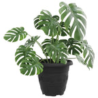Runda Blomkrukor 6-Pack Svart Ø22×18 cm – Plastpotta Trädgård & Uteplats