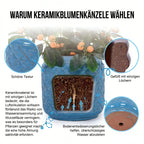 3-Pack Blå Andningsbar Keramikkruka Ø38/30/23 cm – Orkidé Inomhus & Utomhus