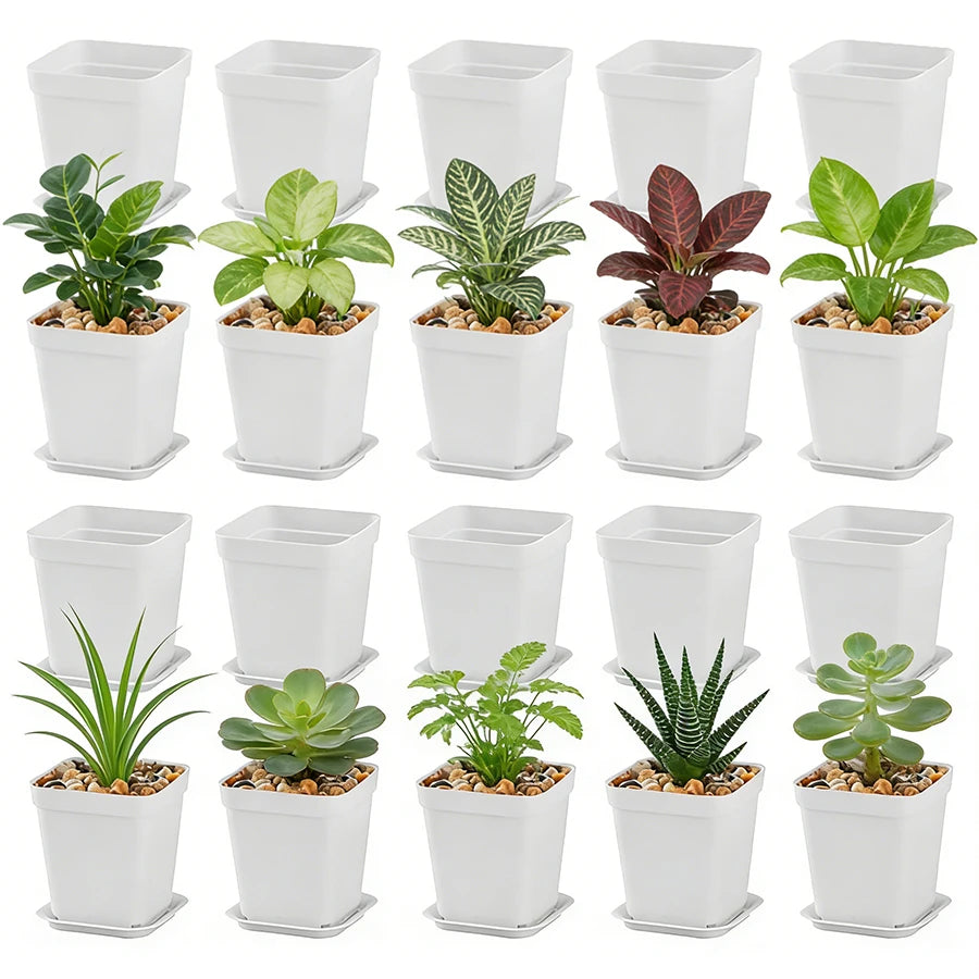 10-Pack Vita Plastblomkrukor 7 cm med Brickor – Sukkulenter & Kontorsodling
