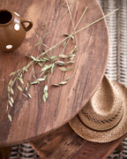 RIKO Soffbord, Natur